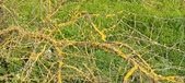 Enlarge photo 118
