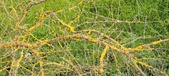 Enlarge photo 119