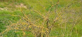 Enlarge photo 120