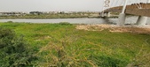 Enlarge photo 121