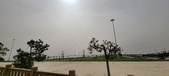 Enlarge photo 124