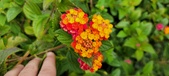 Enlarge photo 128