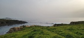 Enlarge photo 164