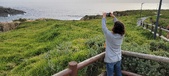 Enlarge photo 165