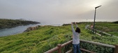 Enlarge photo 166