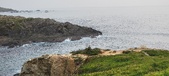 Enlarge photo 169