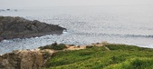 Enlarge photo 170
