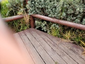 Enlarge photo 171