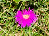Enlarge photo 172