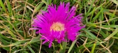 Enlarge photo 173
