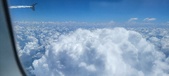 Enlarge photo 42
