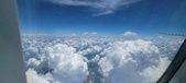 Enlarge photo 49