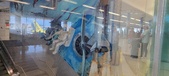 Enlarge photo 112