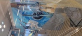 Enlarge photo 113
