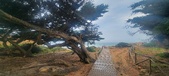 Enlarge photo 140