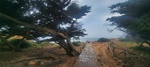 Enlarge photo 138