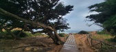 Enlarge photo 139