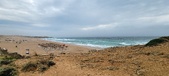 Enlarge photo 144