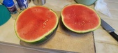 Enlarge photo 153