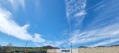 Enlarge photo 145