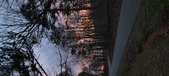 Enlarge photo 136