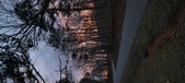 Enlarge photo 135