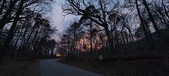Enlarge photo 133