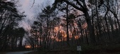Enlarge photo 132