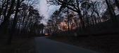 Enlarge photo 129