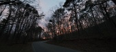 Enlarge photo 125