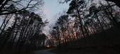 Enlarge photo 124