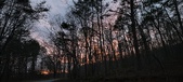 Enlarge photo 122