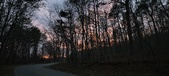 Enlarge photo 121