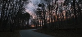 Enlarge photo 120