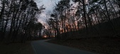 Enlarge photo 119
