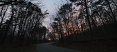 Enlarge photo 118