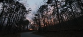 Enlarge photo 117