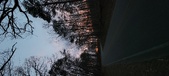 Enlarge photo 116