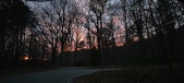 Enlarge photo 113