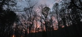 Enlarge photo 112