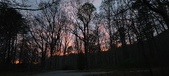 Enlarge photo 111