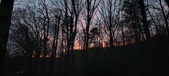 Enlarge photo 110