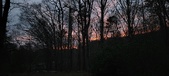 Enlarge photo 109