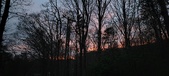 Enlarge photo 108