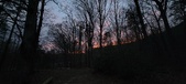 Enlarge photo 107