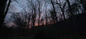 Enlarge photo 106
