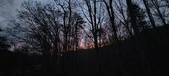 Enlarge photo 105