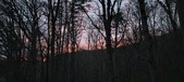Enlarge photo 103