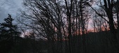 Enlarge photo 102