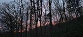 Enlarge photo 99